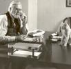 Where Kitty Litter was Invented Where Kitty Litter was Invented