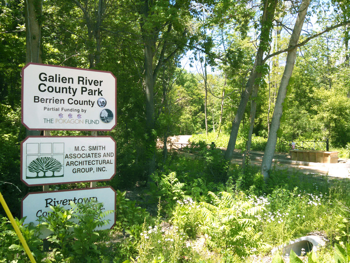 park_2.png
